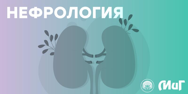 Кто такой нефролог и что он лечит? Кто такой нефролог и что он лечит?