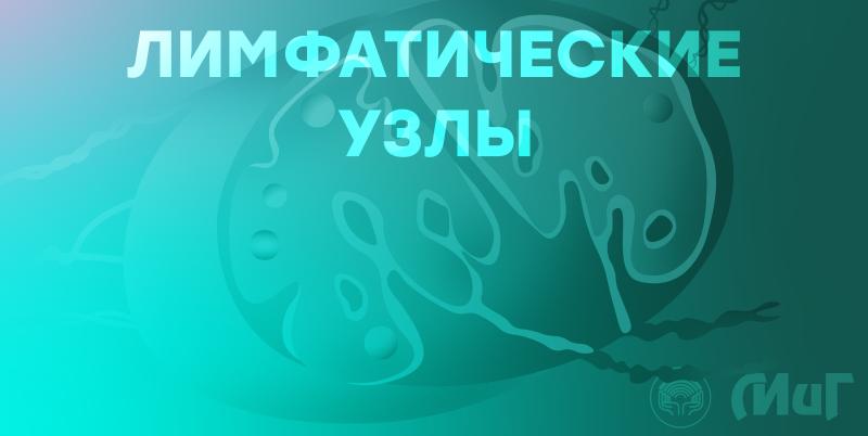 Лимфатические узлы. Когда нужно беспокоиться? Лимфатические узлы. Когда нужно беспокоиться?