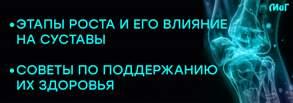 2.jpg 2.jpg