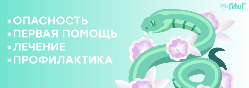 Укусы змей2.jpg