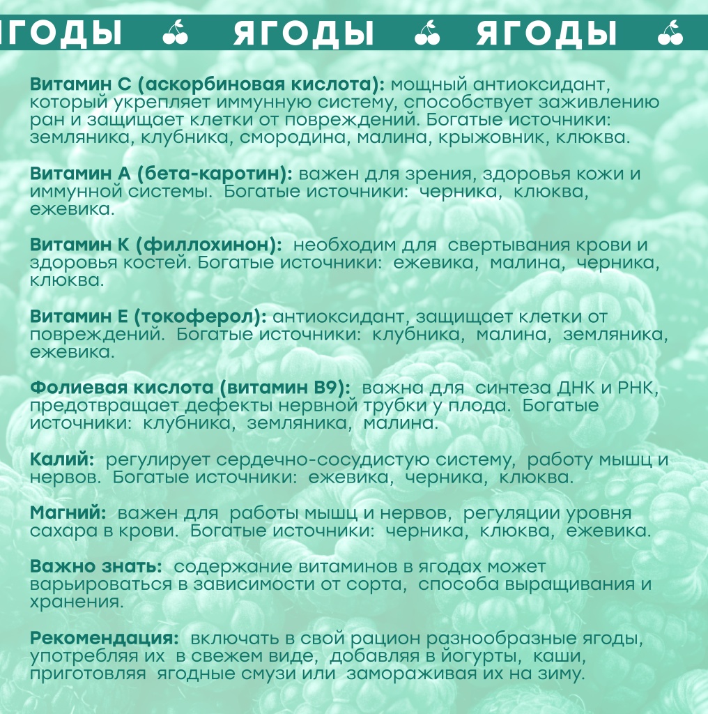 Сезфр3-4.jpg