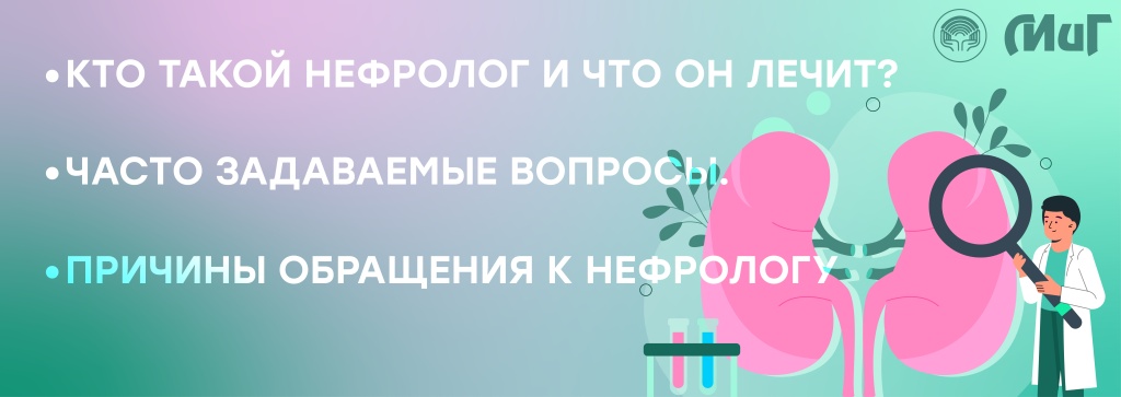 основа нефрология.jpg