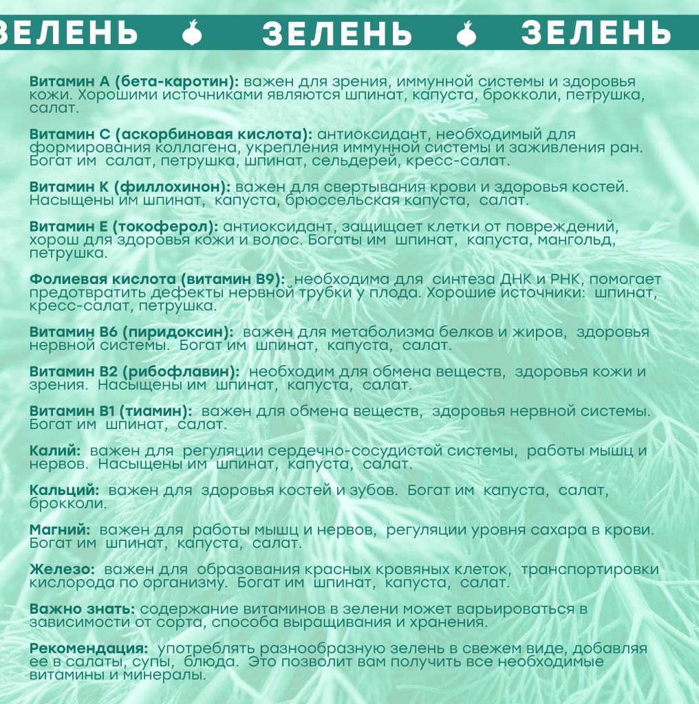 Сезфр3-1.jpg