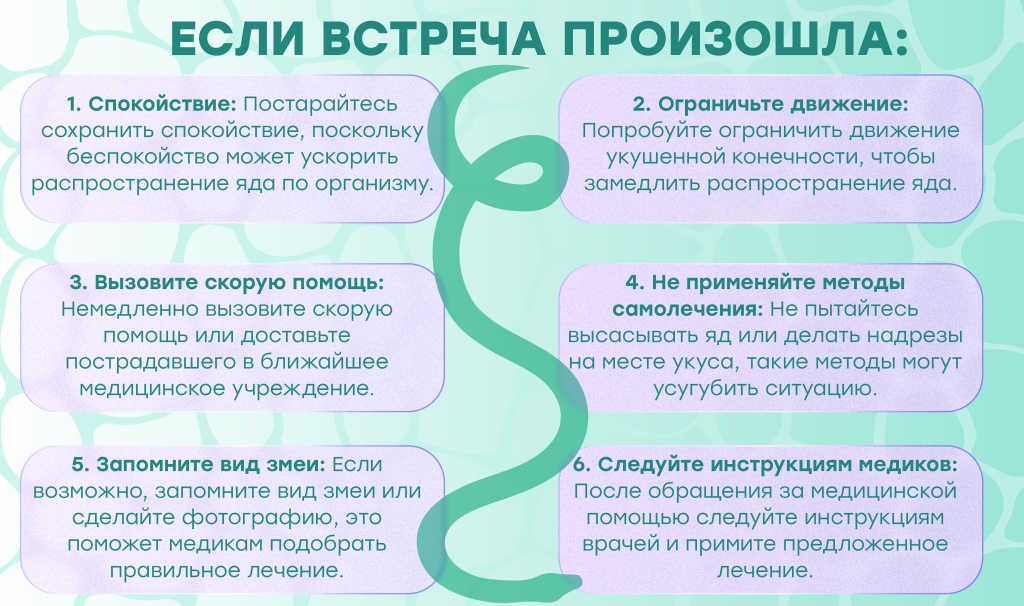 Укусы змей3.jpg